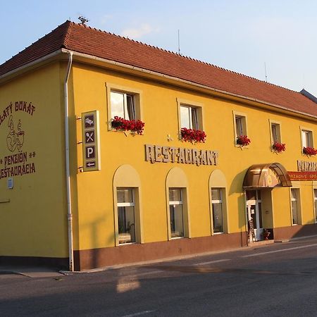 Penzion Zlaty Dukat Zvolenska Slatina Экстерьер фото
